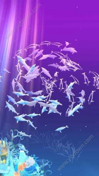 探索深海水族馆神秘新隐藏鱼，未知海洋世界的奥秘揭秘